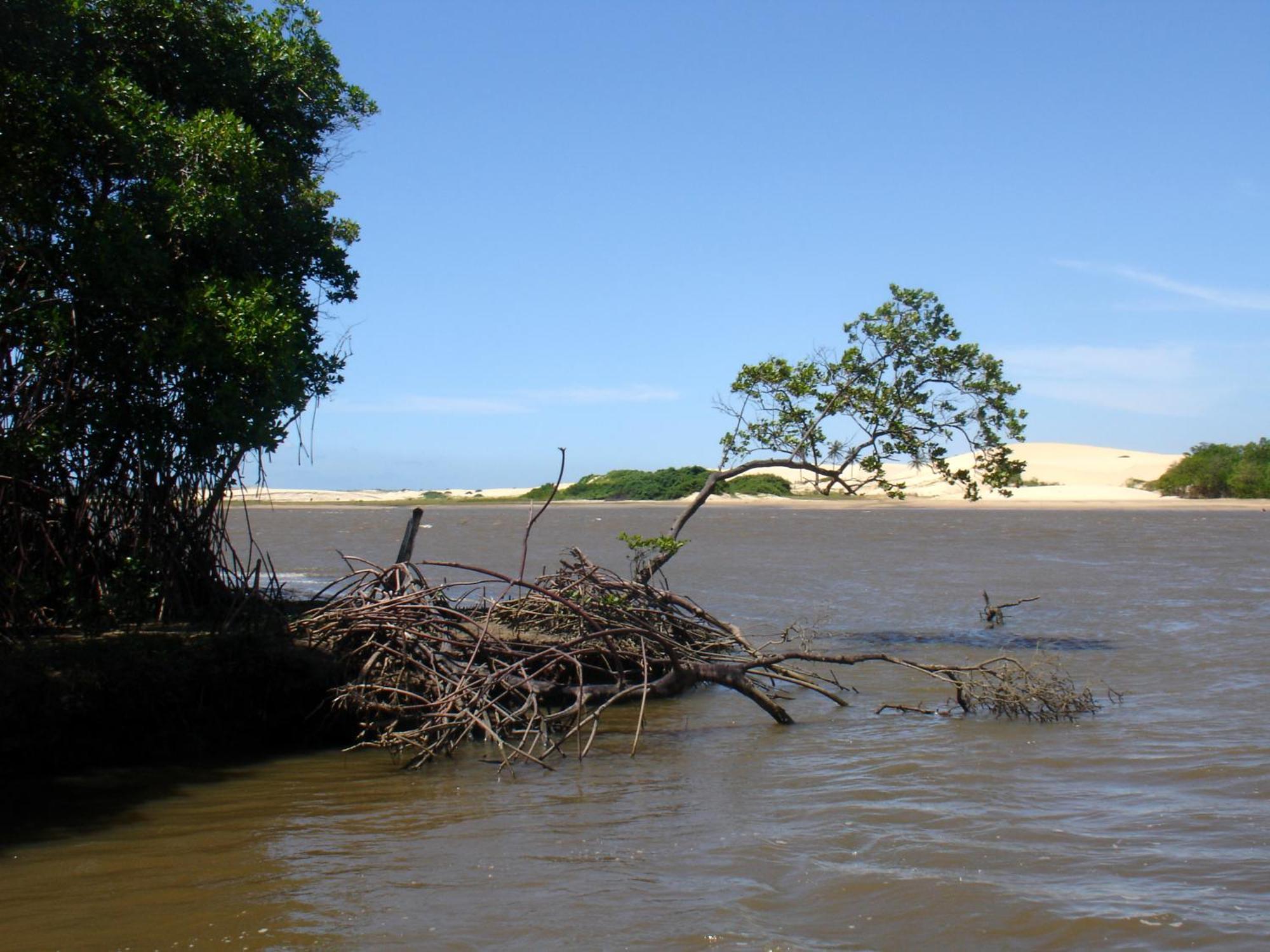 Pousada Barra Do Mundau Ngoại thất bức ảnh