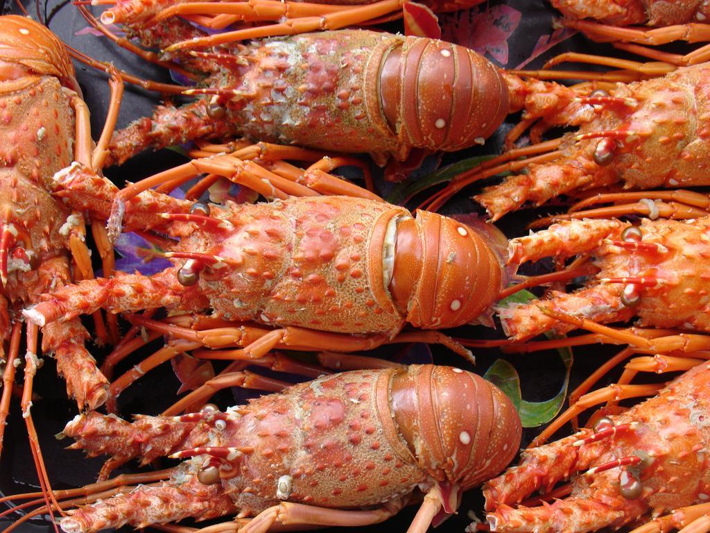 Pousada Barra Do Mundau Ngoại thất bức ảnh